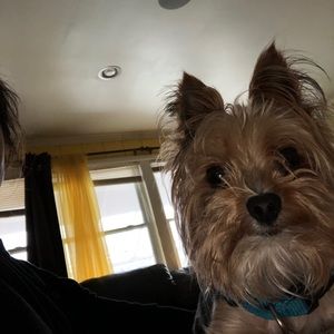 Meet your Posher, Adriana